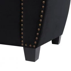 Jolene Storage Bench Nailhead Accent Black by Jennifer Taylor -Jennifer Taylor Home Store black velvet jennifer taylor bedroom benches 85610 927 4f 1000