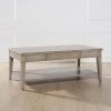Dauphin 50 in. Grey Cashmere Wood Rectangular Storage Coffee Table by Jennifer Taylor