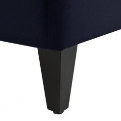 Adonis 65" W Tall Wingback Queen Platform Bed Frame, Dark Navy Blue Velvet by Jennifer Taylor -Jennifer Taylor Home Store dark navy blue jennifer taylor platform beds 52270 3 872 1 77 1000