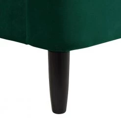 Beth Evergreen Velvet King Transitional Platform Bed Set by Jennifer Taylor -Jennifer Taylor Home Store evergreen velvet jennifer taylor platform beds 50421 4 893 2 fa 1000