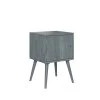 Freemont Gray Mid Century Modern Square Wood Chest Style End Table with Door by Handy Living