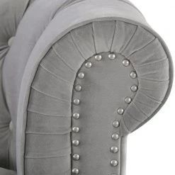 La Rosa 40 in. Opal Grey Velvet 2-Seater Chesterfield Loveseat with Nailheads by Jennifer Taylor -Jennifer Taylor Home Store opal grey jennifer taylor loveseats 2525 2 865 77 1000