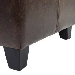Ryan 48 x 18 x 17.75 in. Vintage Brown Faux Leather Upholstered Storage Accent Bench by Jennifer Taylor -Jennifer Taylor Home Store vintage brown faux leather jennifer taylor bedroom benches 85690 mfr 66 1000