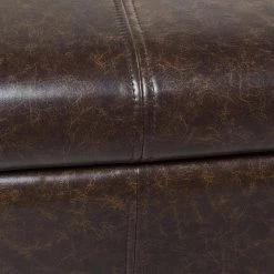 Ryan 48 x 18 x 17.75 in. Vintage Brown Faux Leather Upholstered Storage Accent Bench by Jennifer Taylor -Jennifer Taylor Home Store vintage brown faux leather jennifer taylor bedroom benches 85690 mfr fa 1000